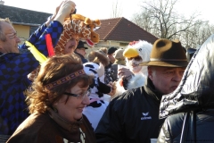 Faschingsumzug 2015